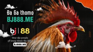 Các kinh nghiệm cá cược đá gà tại BJ88 và giải đáp thắc mắc