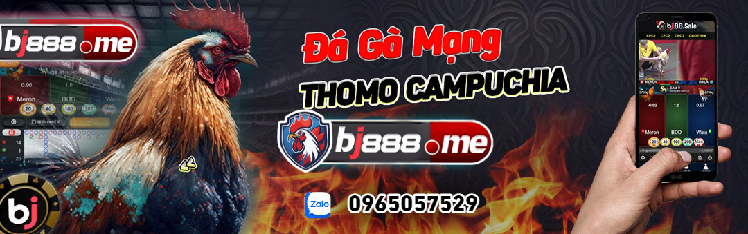 đá gà thomo