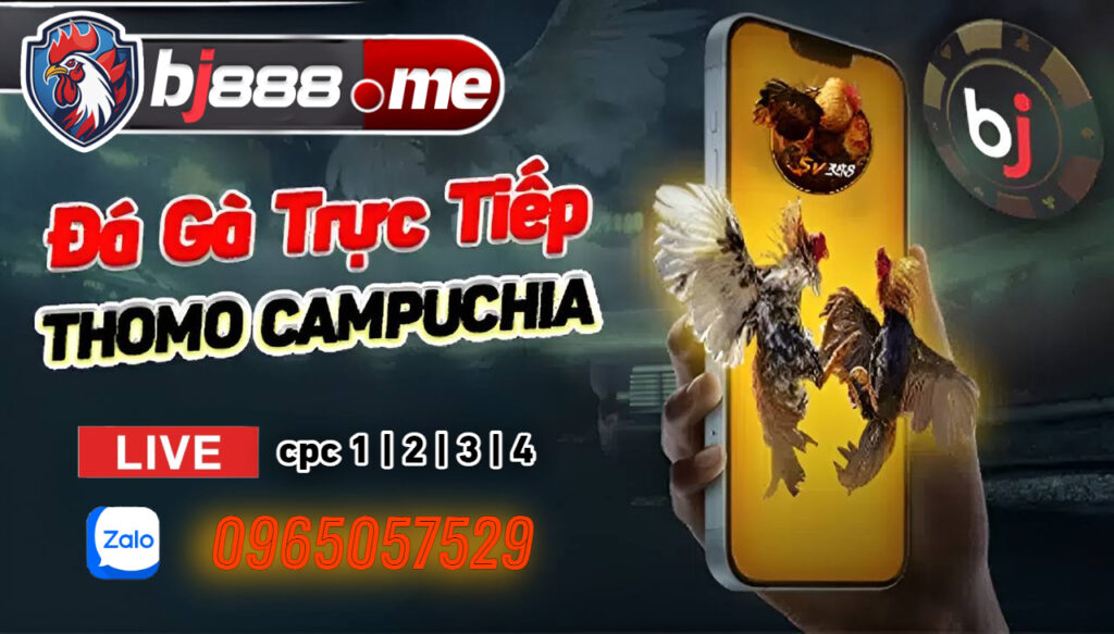 đá gà thomo