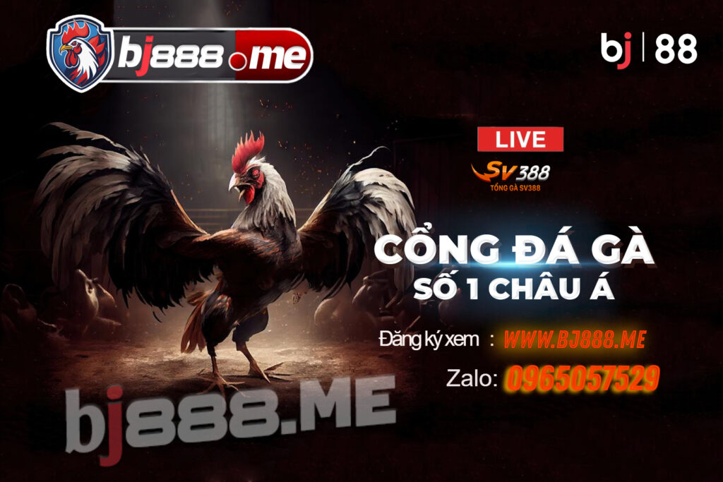 đá gà thomo