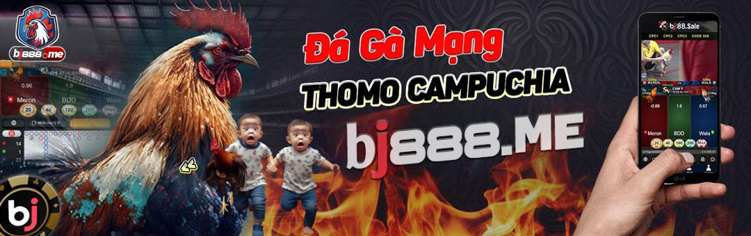 đá gà thomo