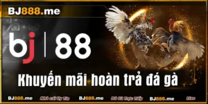 đá gà tre trực tiếp tại BJ88