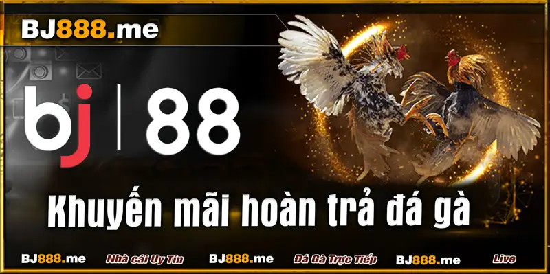 đá gà tre trực tiếp tại BJ88