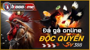đá gà online