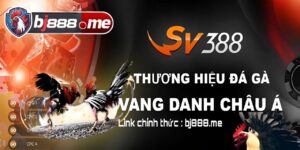 đá gà sv388