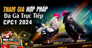 Đá Gà Trực Tiếp C1 2024