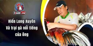 hiển long xuyên