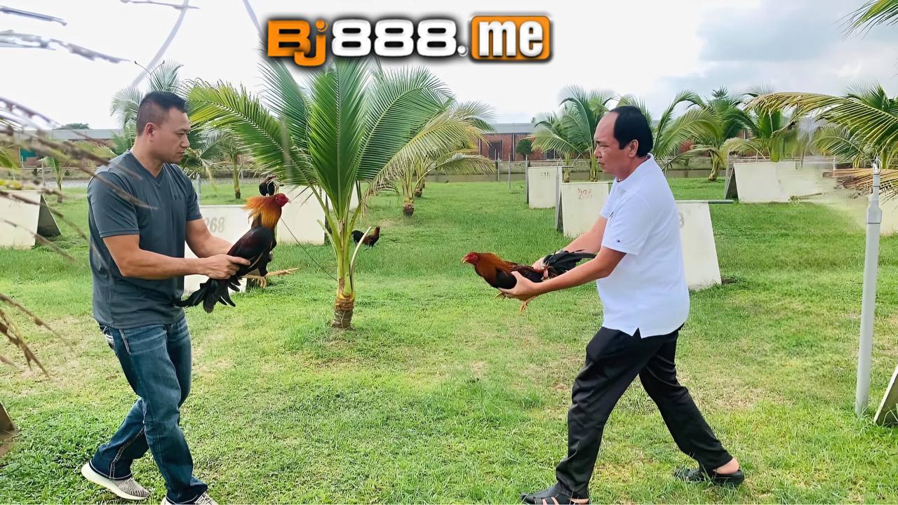 hiển long xuyên