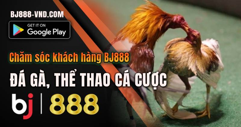 BJ888 - Đá Gà Trực Tiếp, Cược Thể Thao +888K tại BJ888 VND Liên Hệ BJ888: Tiếp Cận Hỗ Trợ Dễ Dàng