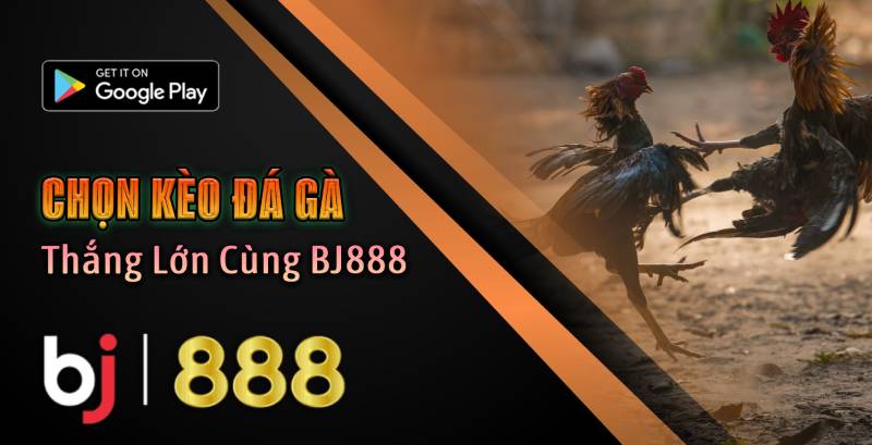 Chọn Kèo Đá Gà 2025: Thắng Lớn Cùng BJ888 Chọn Kèo Đá Gà 2025_ Thắng Lớn Cùng BJ888
