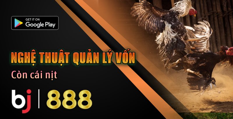 Chọn Kèo Đá Gà 2025: Thắng Lớn Cùng BJ888 Nghệ Thuật Quản Lý Vốn - BJ888