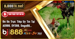 Đá-Gà-Trực-Tiếp-Uy-Tín-Tại-AE888,-az888,-daga88