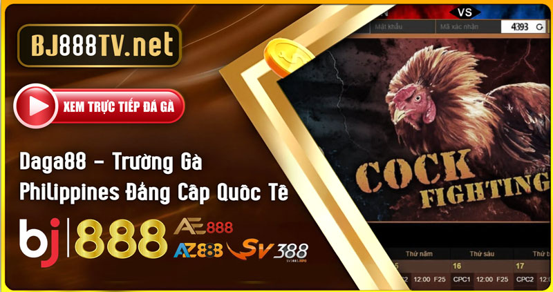 Daga88-Trường-Gà-Philippines-Đẳng-Cấp-Quốc-Tế