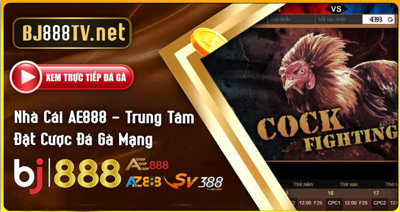 Nhà Cái AE888-Trung-Tâm-Đặt-Cược-Đá-Gà-Mạng