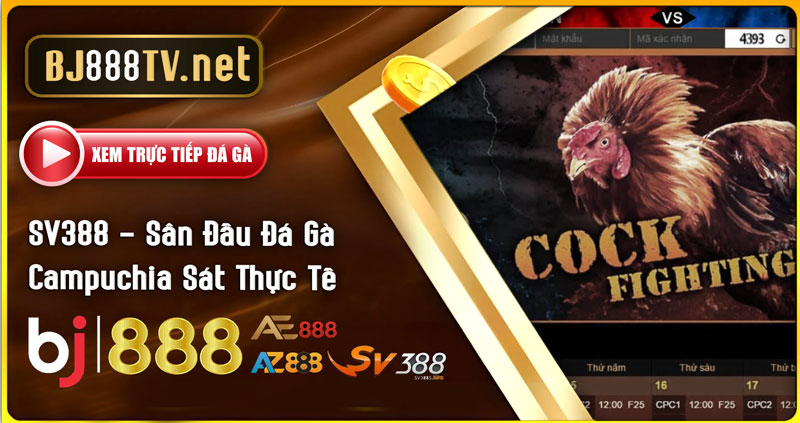 SV388-Sân-Đấu-Đá-Gà-Campuchia-Sát-Thực-Tế