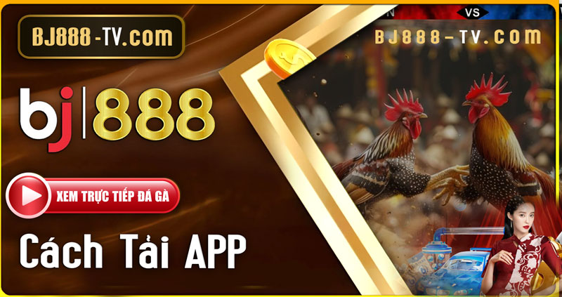 Cách tải app BJ888