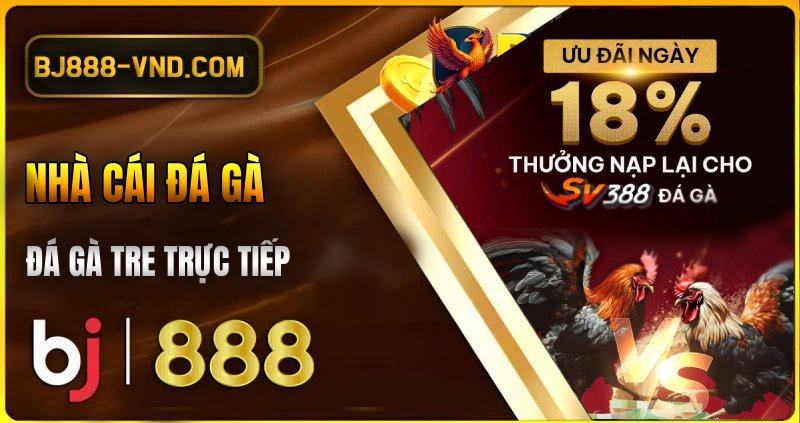 ĐÁ GÀ TRE TRỰC TIẾP tại BJ888 Đá gà tre trực tiếp, đá gà thomo BJ88, BJ888-vnd