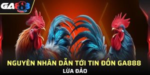 nhà cái ga888 lừa đảo