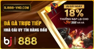 Đá gà thomo - da ga truc tiep CPC1 BJ888 vnd nha cai BJ88