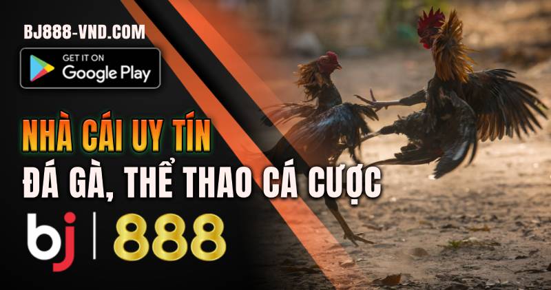 BJ888 Đăng nhập Đăng nhập xem đá gà, các cược thể thao BJ888