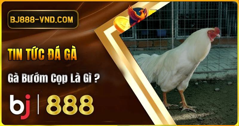 Gà Bướm Cọp: Đặc Điểm, Lối Đá và Sự Hấp Dẫn Tại Trường Gà Campuchia 1 Gà Bướm Cọp là gì?