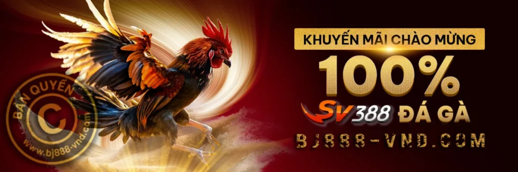 Nhà cái đá gà trực tiếp - ĐÁ GÀ SV388 - BJ88 - BJ888-VND