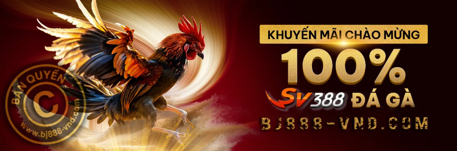 Nhà cái đá gà trực tiếp - ĐÁ GÀ SV388 - BJ88 - BJ888-VND