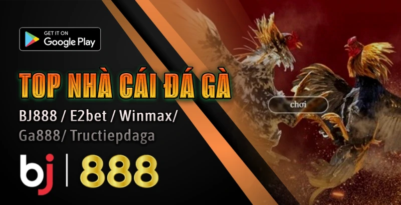 BJ888 Đá Gà Chọi CFE – Trải Nghiệm Đỉnh Cao Tại Sảnh Đá Gà CFE TOP 5 NHÀ CÁI ĐÁ GÀ HOT NHẤT 2025