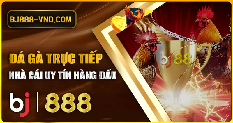 BJ888 Đá Gà Chọi CFE – Trải Nghiệm Đỉnh Cao Tại Sảnh Đá Gà CFE Tham gia cùng thế giới đá gà chọi trực tuyến tại BJ888
