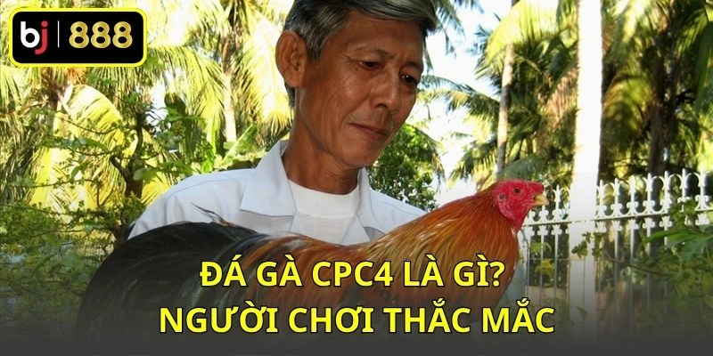 Đá gà CPC4 là gì? người chơi thắc mắc