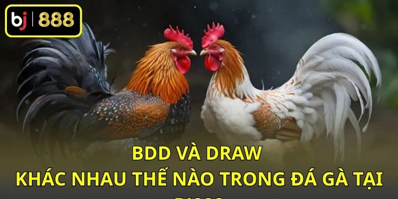 BDD và Draw khác nhau thế nào