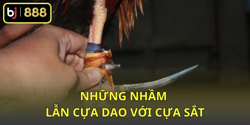 Cựa Dao Và Cựa Sắt Khác Nhau Thế Nào? So Sánh Theo Hình Dáng 3 Những nhầm lẫn cựa dao với cựa sắt
