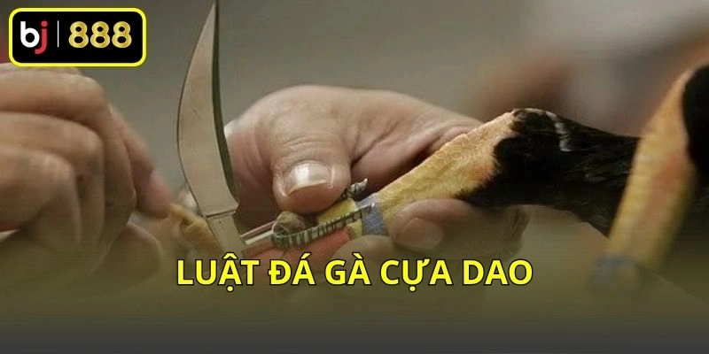 Luật đá gà cựa dao