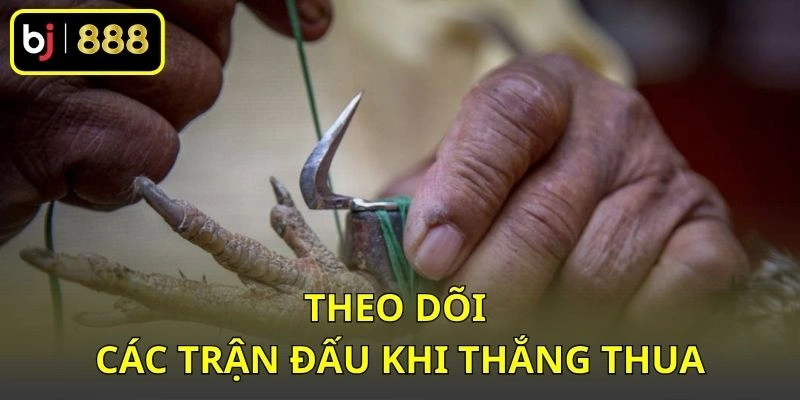 Theo dõi các trận đấu khi thắng thua
