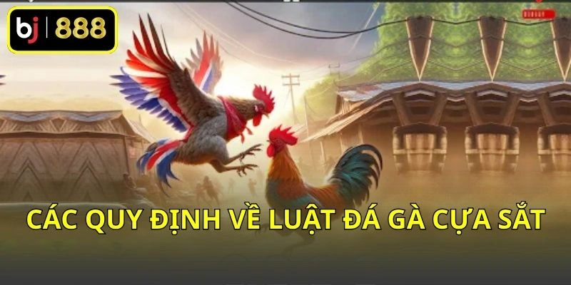Các quy định về luật đá gà cựa sắt