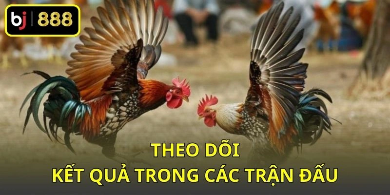 Theo dõi kết quả trong các trận đấu