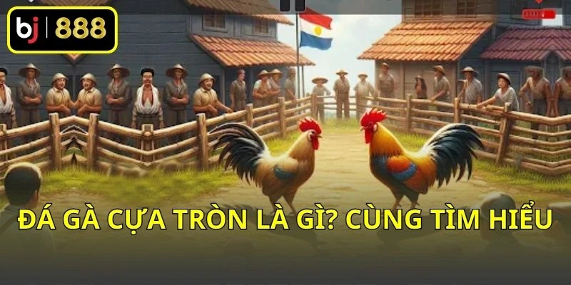 Đá Gà Cựa Tròn Là Gì? Tổng Quan Hình Dáng Và Đặc Điểm Cơ Bản 1 Đá gà cựa tròn là gì? Cùng tìm hiểu