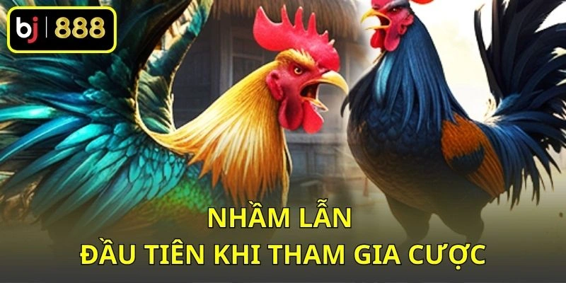 Đá Gà Cựa Tròn Là Gì? Tổng Quan Hình Dáng Và Đặc Điểm Cơ Bản 3 Những nhầm lẫn đầu tiên khi tham gia cược