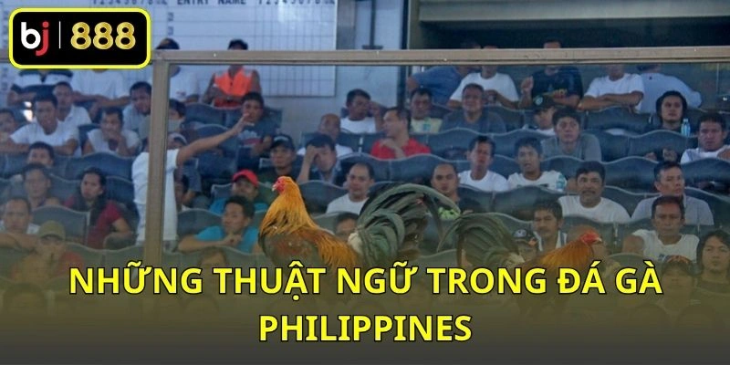 Những thuật ngữ trong đá gà Philippines