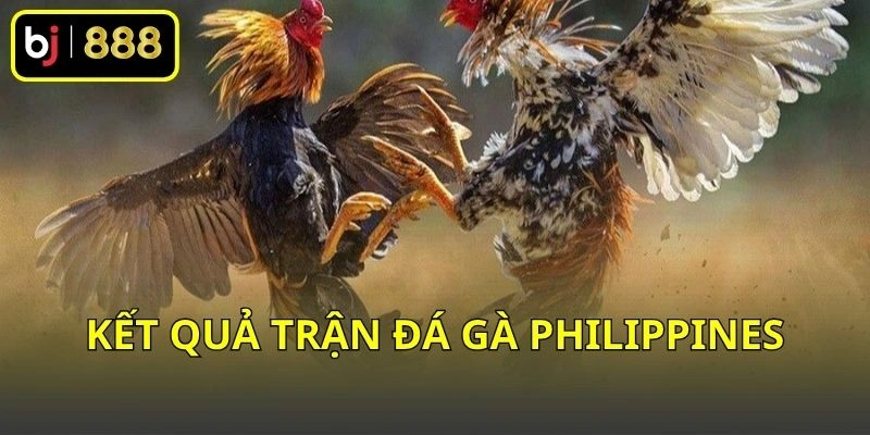 Kết quả trận đá gà Philippines