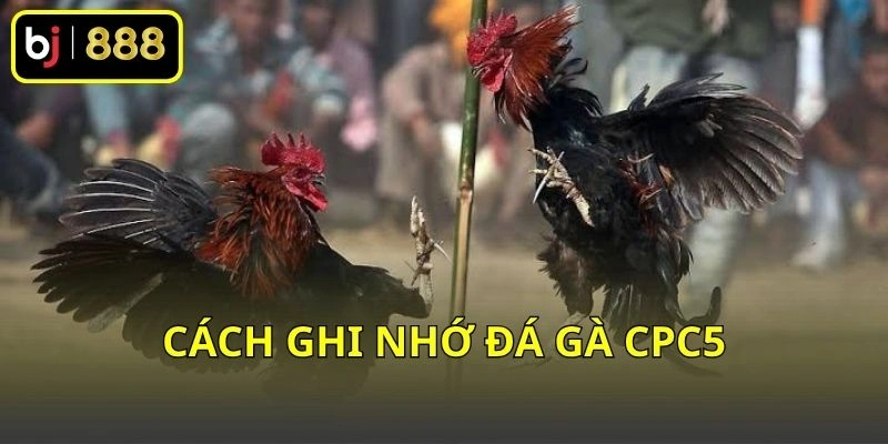 Cách ghi nhớ đá gà CPC5