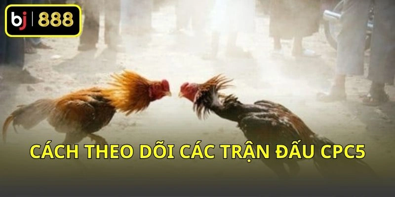 Cách theo dõi các trận đấu CPC5