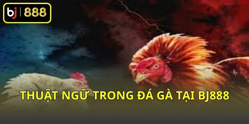 Thuật ngữ trong đá gà tại BJ888