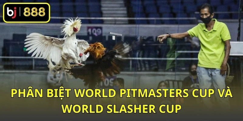 Phân biệt World Pitmasters Cup và World Slasher Cup