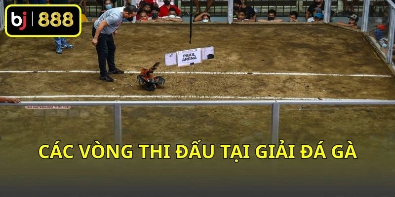 Các vòng thi đấu tại giải đá gà