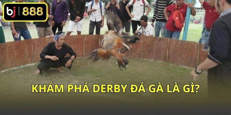 Khám phá Derby đá gà là gì?