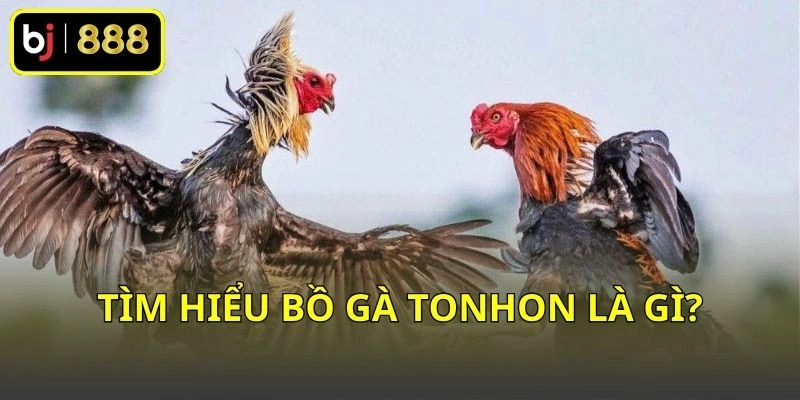 Tìm hiểu Bồ gà Tonhon là gì?