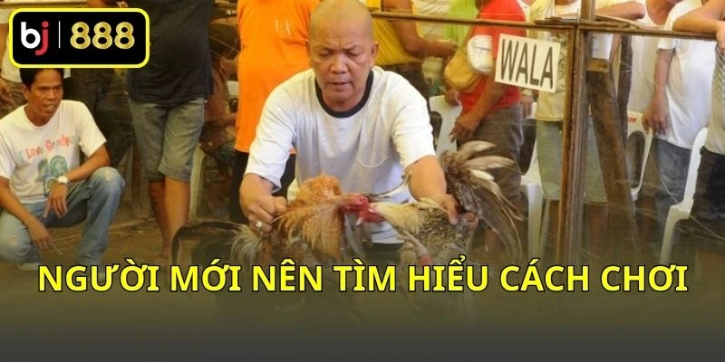 Người mới nên tìm hiểu cách chơi