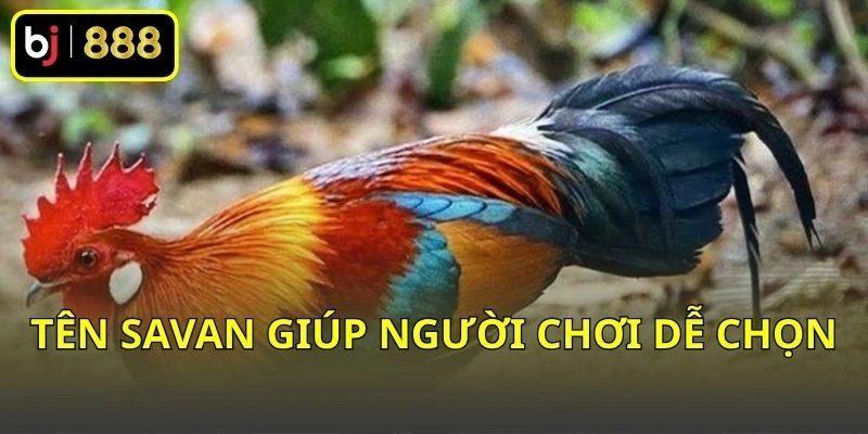 Tên Savan giúp người chơi dễ chọn