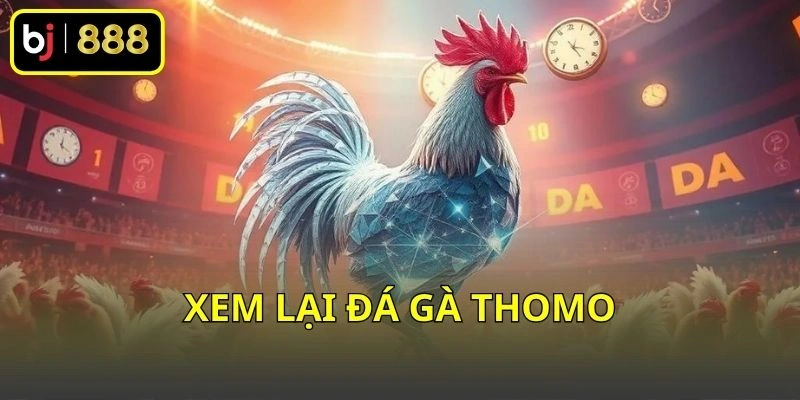 Xem lại đá gà Thomo